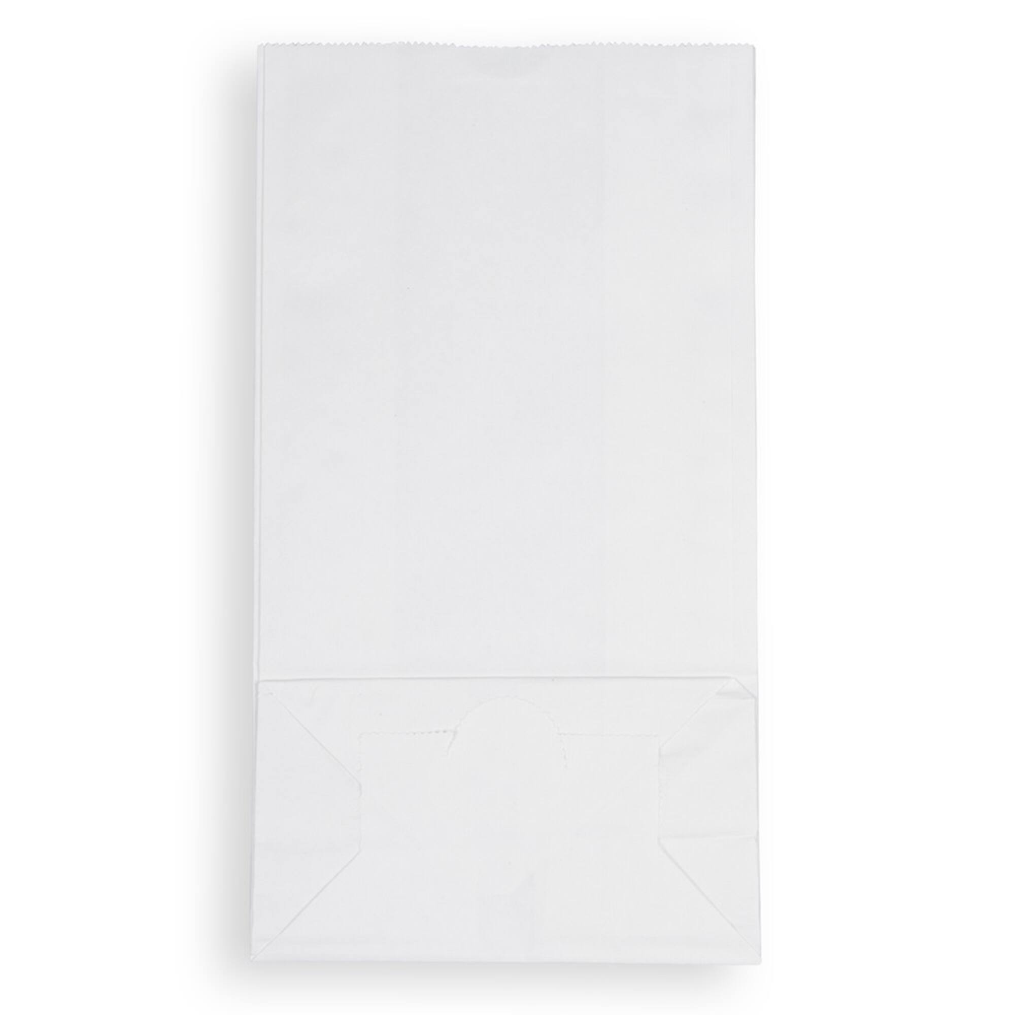 JAM Paper White Small Plus Kraft Lunch Bags, 500ct.